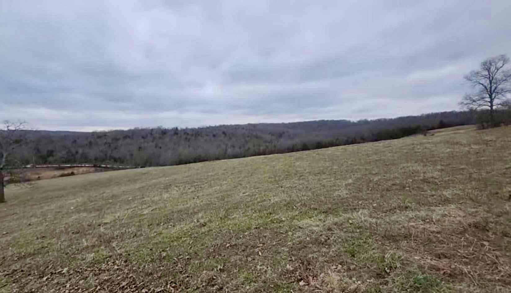 11 Acres of Recreational Land for Sale in Hartville, Missouri