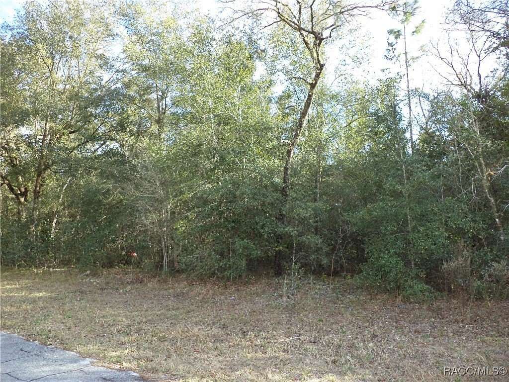 0.29 Acres of Residential Land for Sale in Citrus Springs, Florida