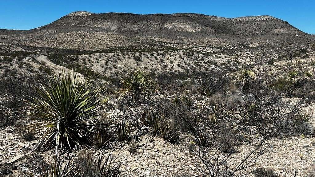 5 Acres of Land for Sale in Terlingua, Texas