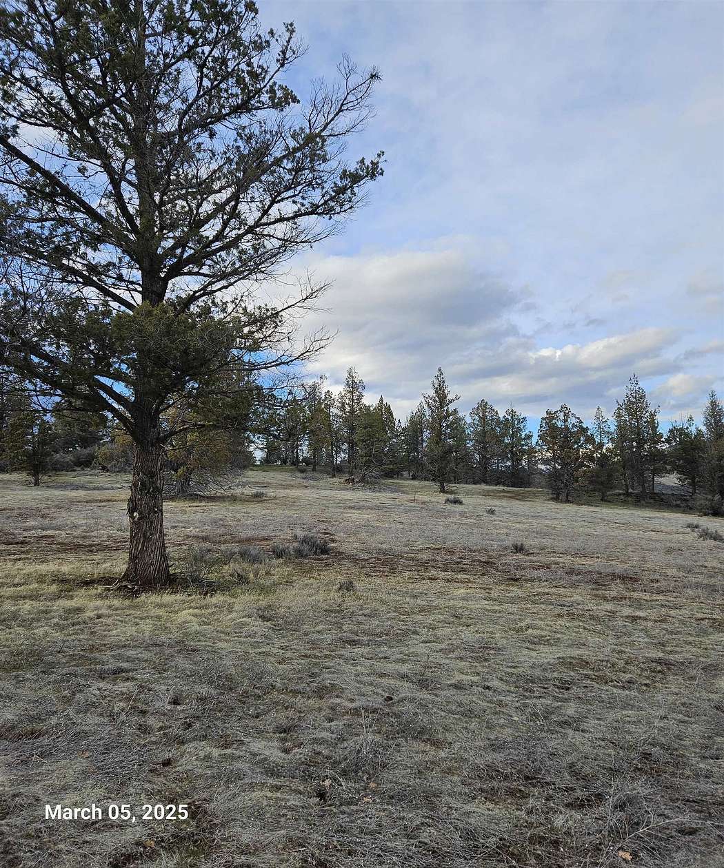 1 Acre of Residential Land for Sale in Hornbrook, California