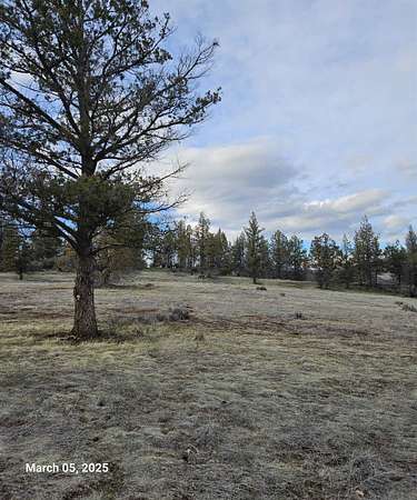 1 Acre of Residential Land for Sale in Hornbrook, California