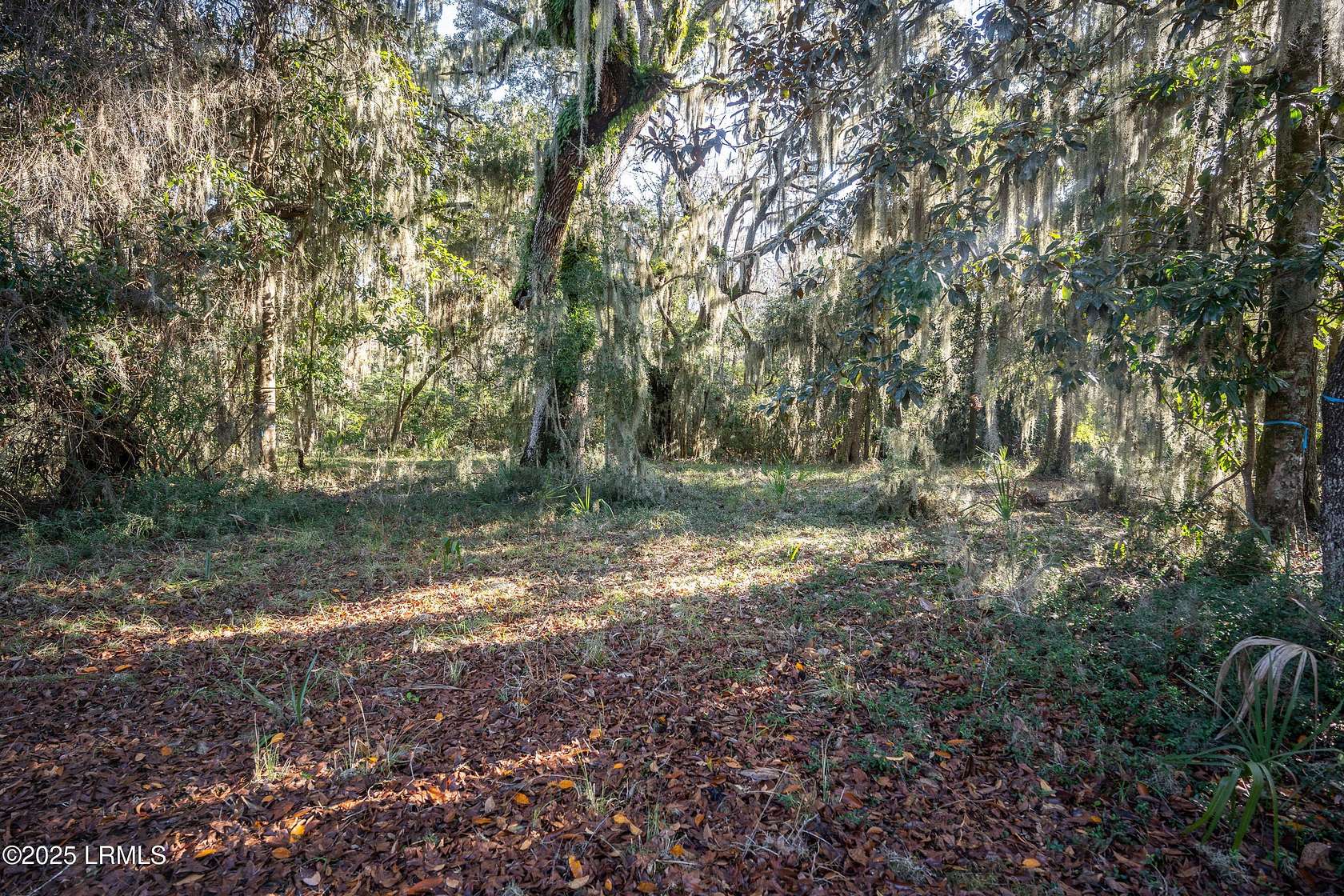 0.69 Acres of Residential Land for Sale in Beaufort, South Carolina