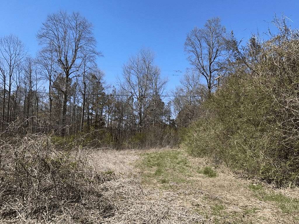 4 Acres of Mixed-Use Land for Sale in Jasper, Georgia