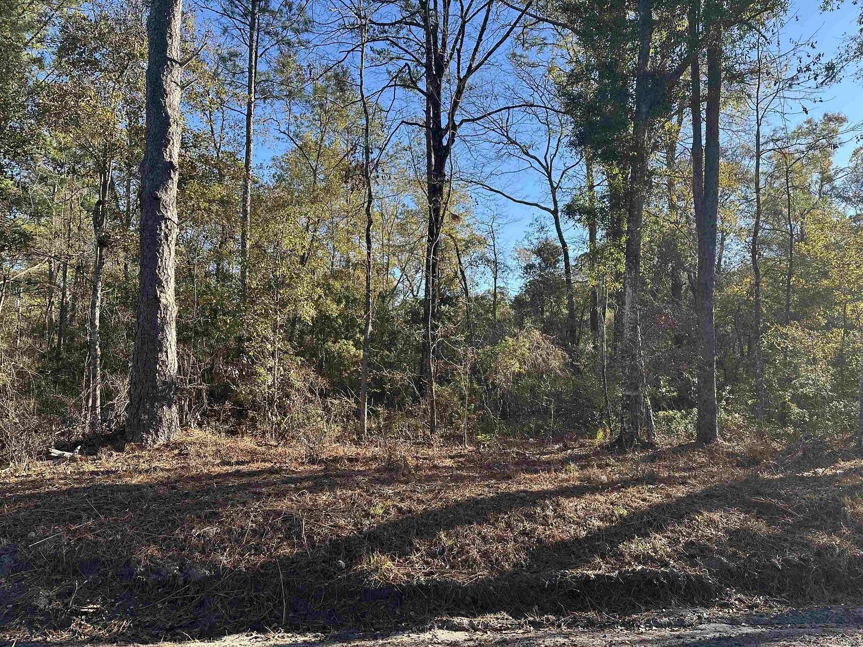 0.11 Acres of Residential Land for Sale in Crawfordville, Florida