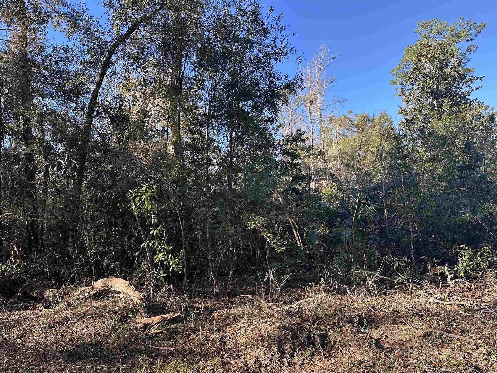 0.11 Acres of Residential Land for Sale in Crawfordville, Florida