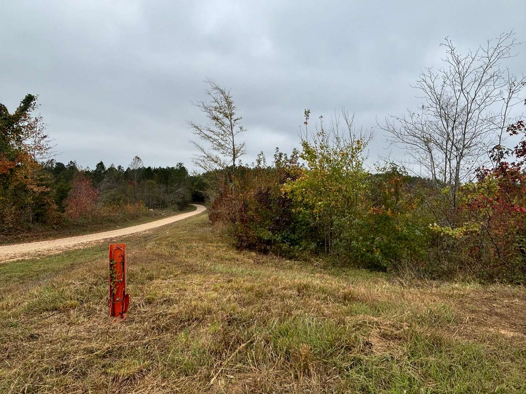 16 Acres of Recreational Land for Sale in Hamilton, Alabama