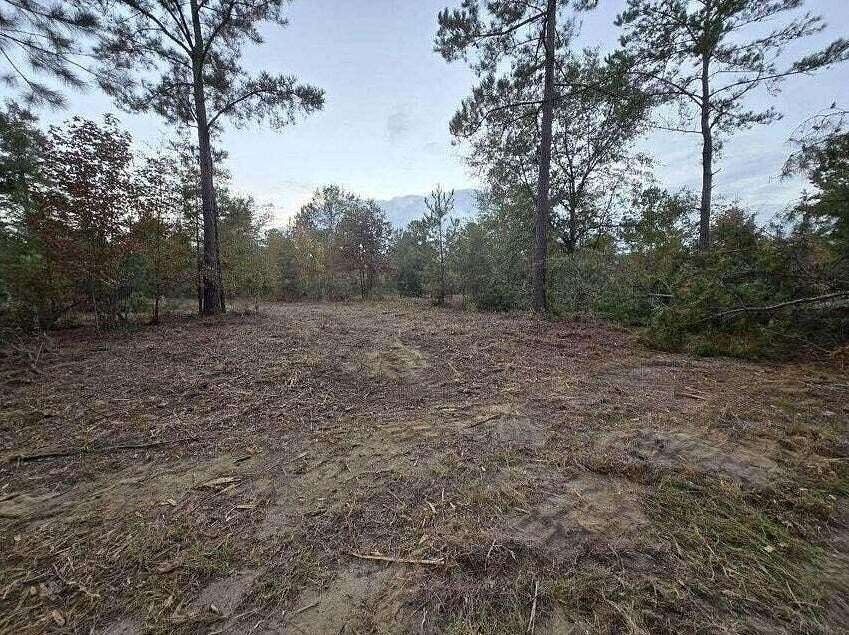 2 Acres of Residential Land for Sale in Williston, South Carolina