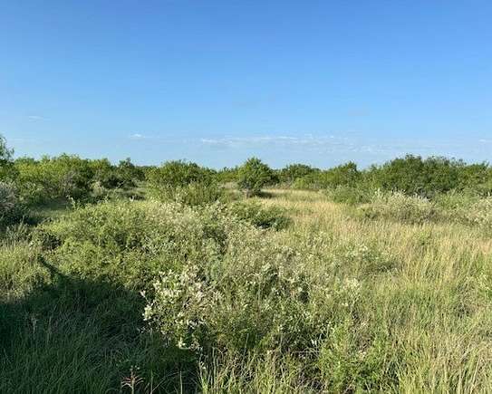 25 Acres of Recreational Land for Sale in Calliham, Texas