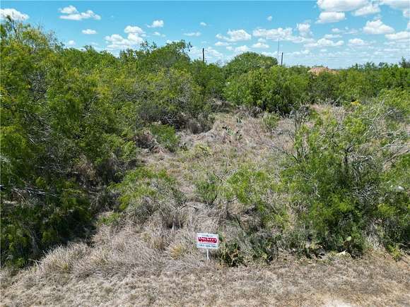 0.18 Acres of Residential Land for Sale in Sandia, Texas