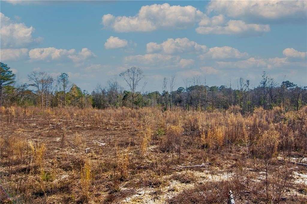 17.11 Acres of Land for Sale in Smiths Station, Alabama