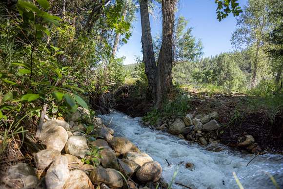 89.77 Acres of Recreational Land & Farm for Sale in Vadito, New Mexico