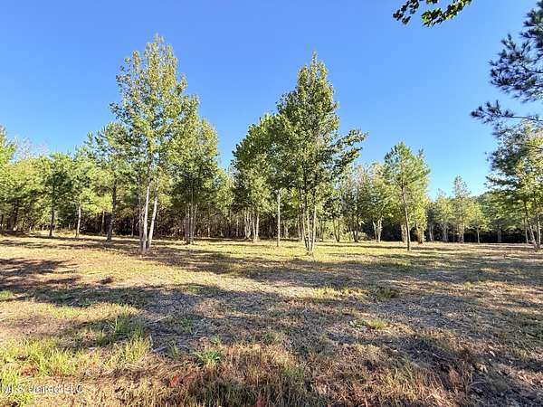 6.2 Acres of Land for Sale in Madison, Mississippi