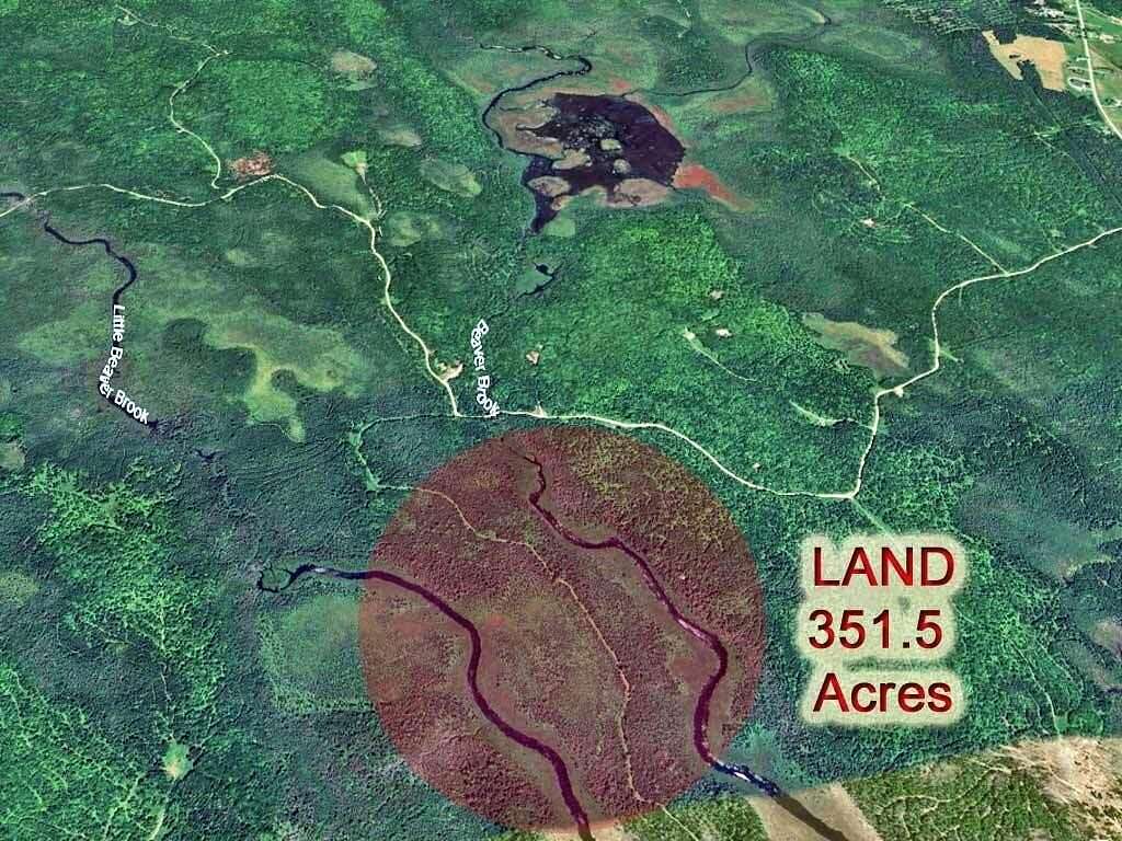 351 Acres of Recreational Land for Sale in Linneus, Maine