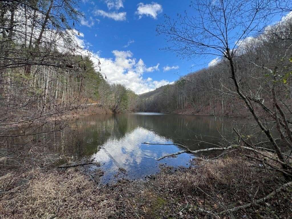 92.71 Acres of Recreational Land for Sale in Cisco, Georgia