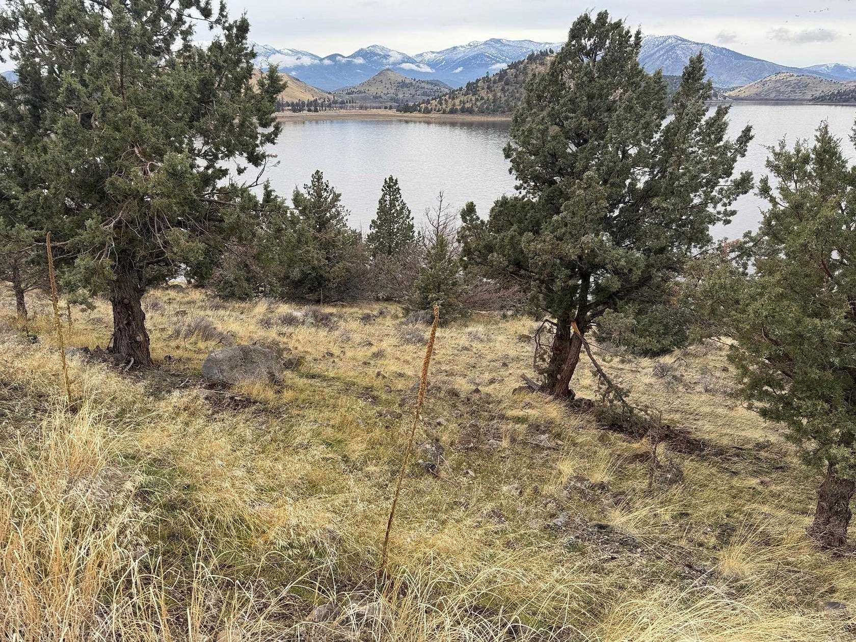 0.5 Acres of Land for Sale in Weed, California