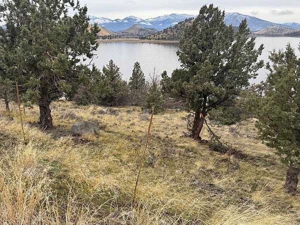 0.5 Acres of Land for Sale in Weed, California