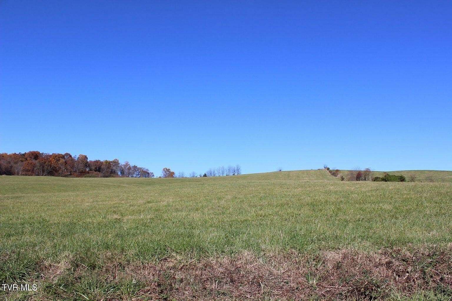 5.2 Acres of Residential Land for Sale in Limestone, Tennessee