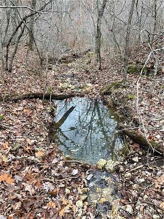 120 Acres of Recreational Land for Sale in Lebanon, Missouri