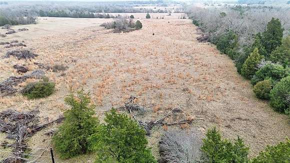 10.421 Acres of Land for Sale in Ben Wheeler, Texas