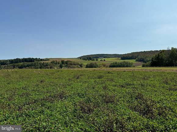 177 Acres of Recreational Land & Farm for Sale in Coudersport, Pennsylvania