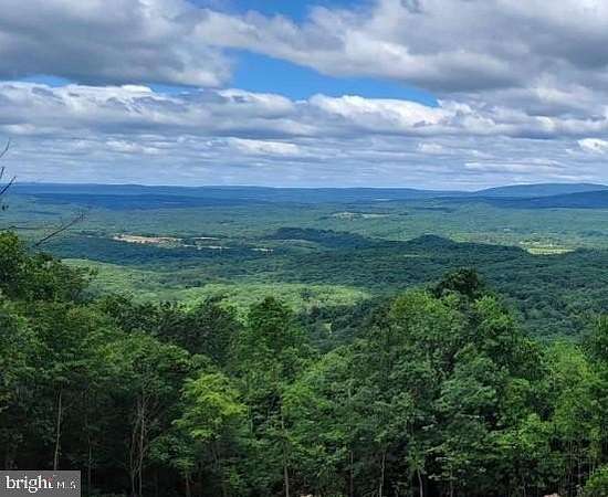 33.2 Acres of Land for Sale in Gerrardstown, West Virginia