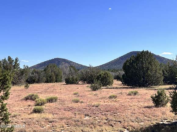 10 Acres of Land for Sale in Williams, Arizona