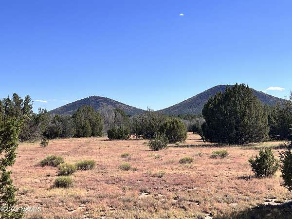 10 Acres of Residential Land for Sale in Williams, Arizona