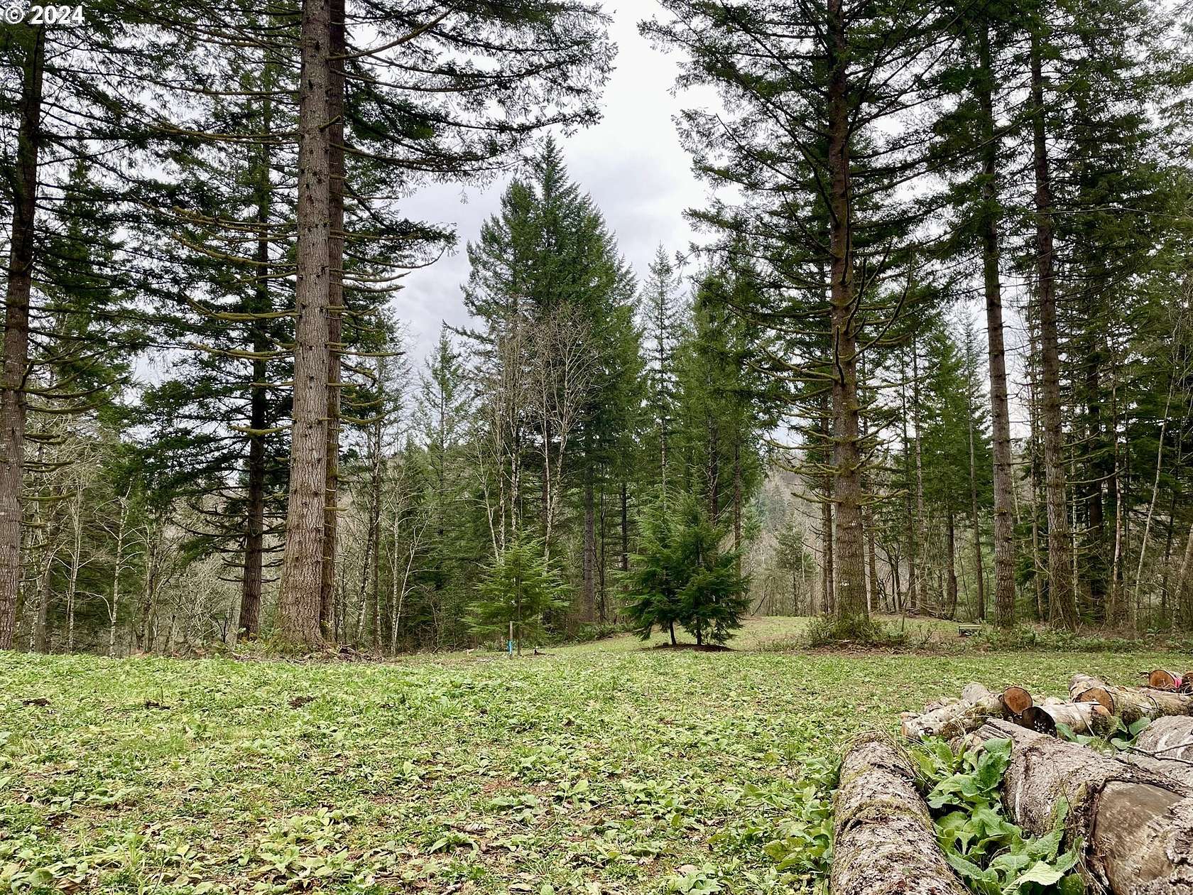 5.2 Acres of Residential Land for Sale in Washougal, Washington