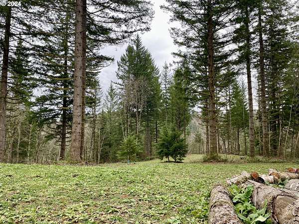 5.2 Acres of Residential Land for Sale in Washougal, Washington