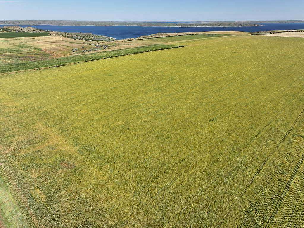 280 Acres of Agricultural Land for Sale in Pierre, South Dakota