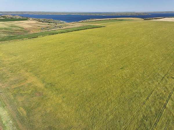 280 Acres of Agricultural Land for Sale in Pierre, South Dakota