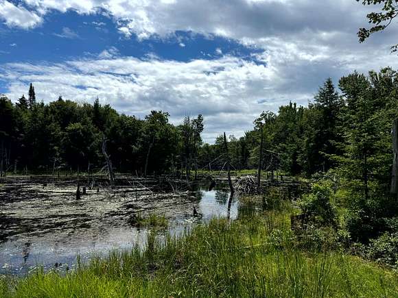 123.33 Acres of Recreational Land for Sale in Lewis Town, New York