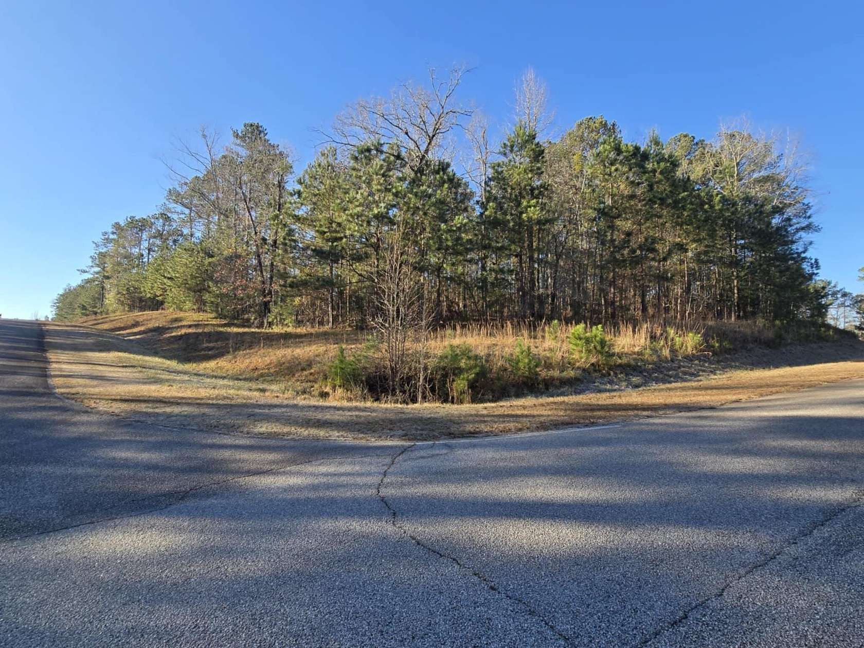 2.33 Acres of Residential Land for Sale in Lincolnton, Georgia