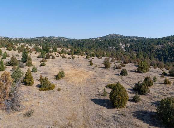 117.82 Acres of Recreational Land for Sale in Anaconda, Montana