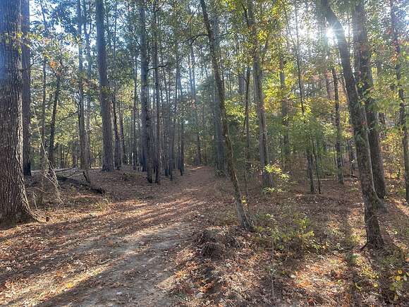 3 Acres of Land for Sale in Gurdon, Arkansas