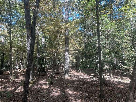 40 Acres of Recreational Land & Farm for Sale in Gurdon, Arkansas