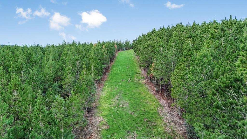 84 Acres of Land with Home for Sale in Gloster, Mississippi