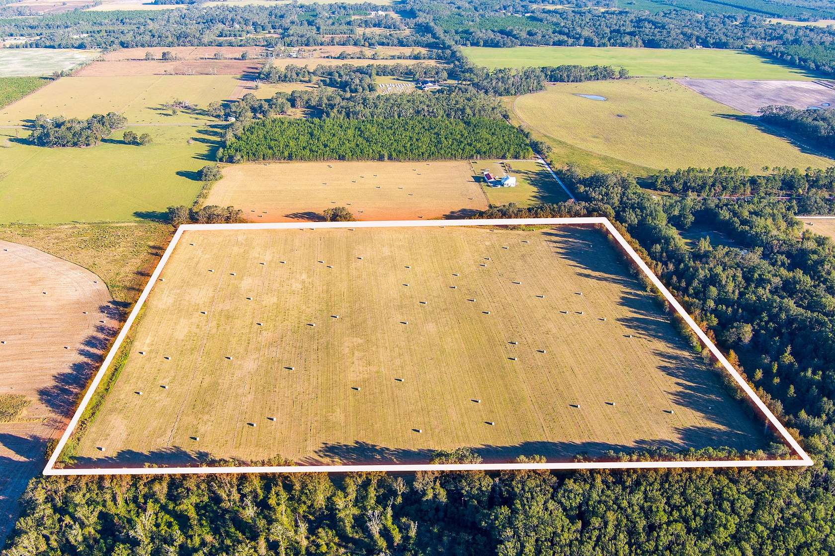 40 Acres of Land for Sale in Live Oak, Florida