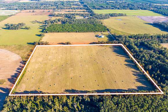 40 Acres of Land for Sale in Live Oak, Florida