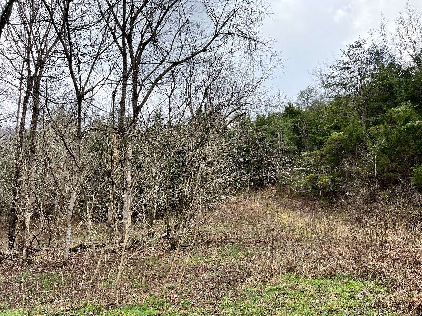 5.01 Acres of Land for Sale in Thorn Hill, Tennessee