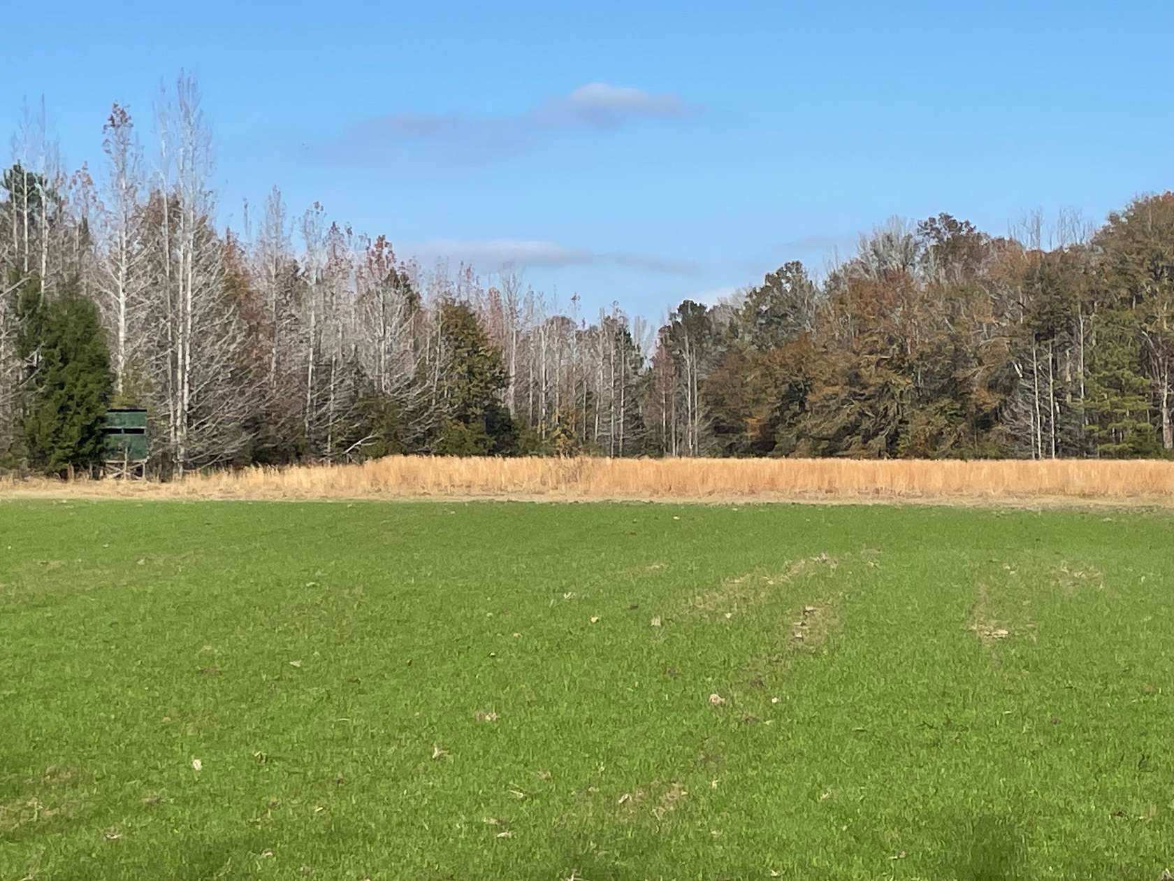 212 Acres of Recreational Land & Farm for Sale in Alberta, Alabama