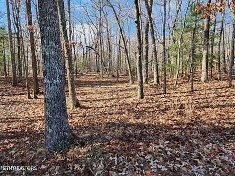 0.25 Acres of Residential Land for Sale in Fairfield Glade, Tennessee