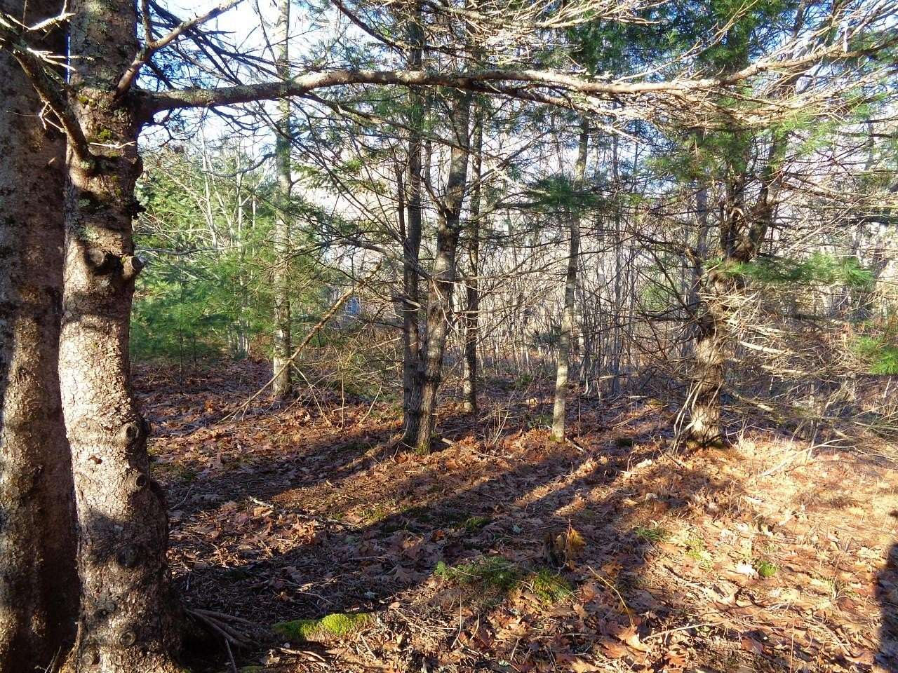 3.67 Acres of Residential Land for Sale in Sullivan, Maine