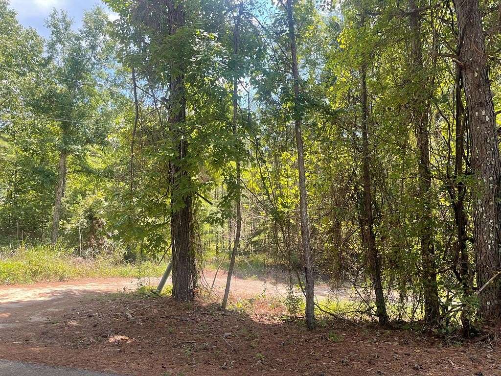 1 Acre of Land for Sale in Paris, Mississippi