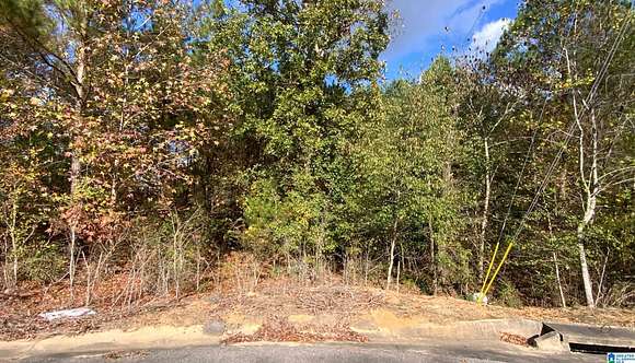 1.33 Acres of Land for Sale in Bessemer, Alabama