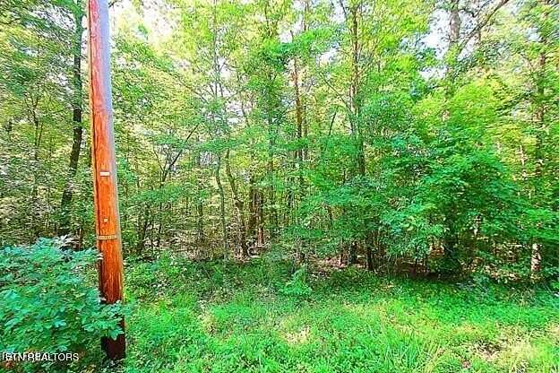 0.88 Acres of Residential Land for Sale in Fairfield Glade, Tennessee