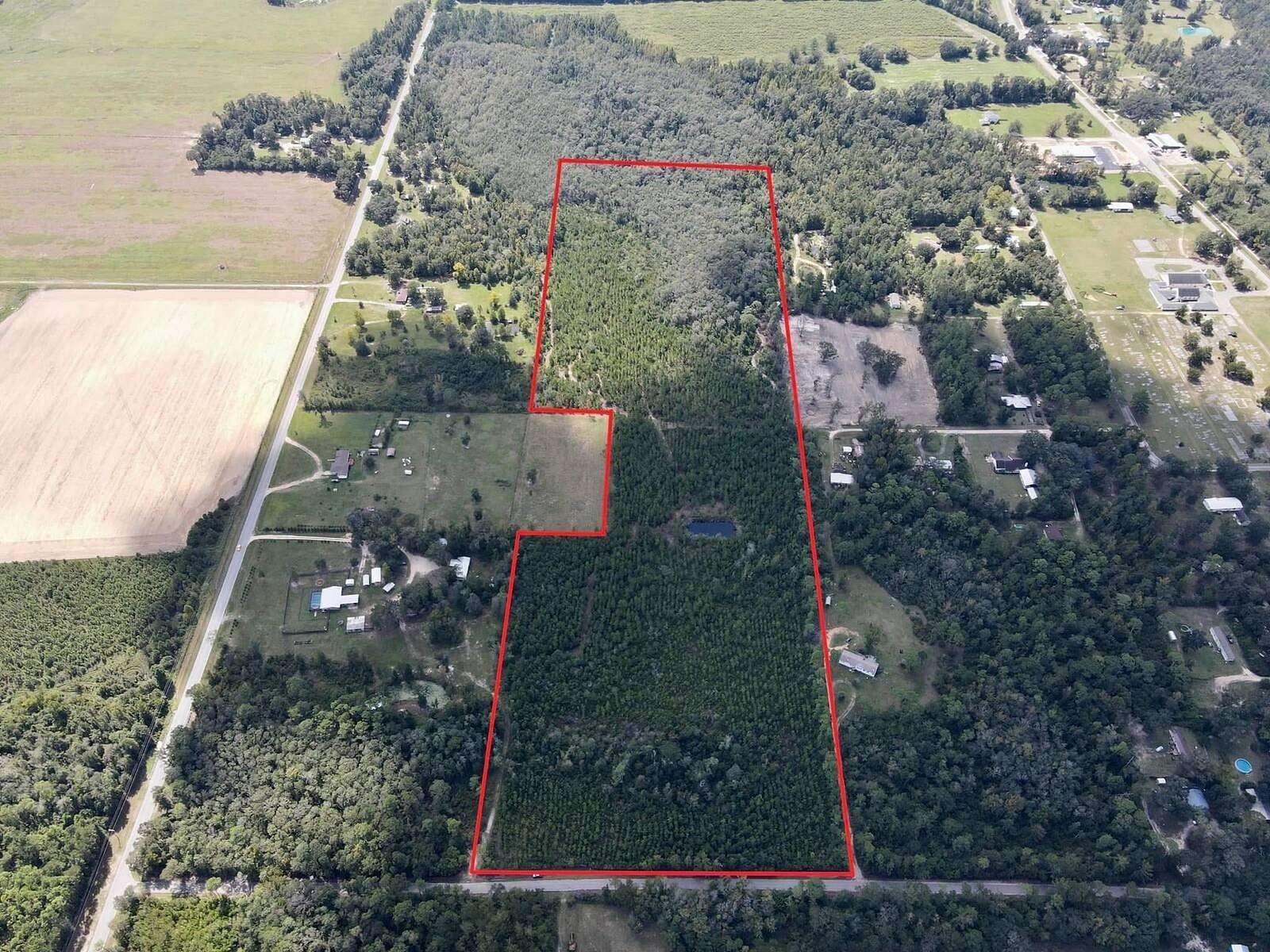 38 Acres of Recreational Land for Sale in Bristol, Florida