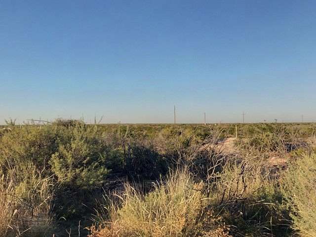 10 Acres of Land for Sale in Coyanosa, Texas