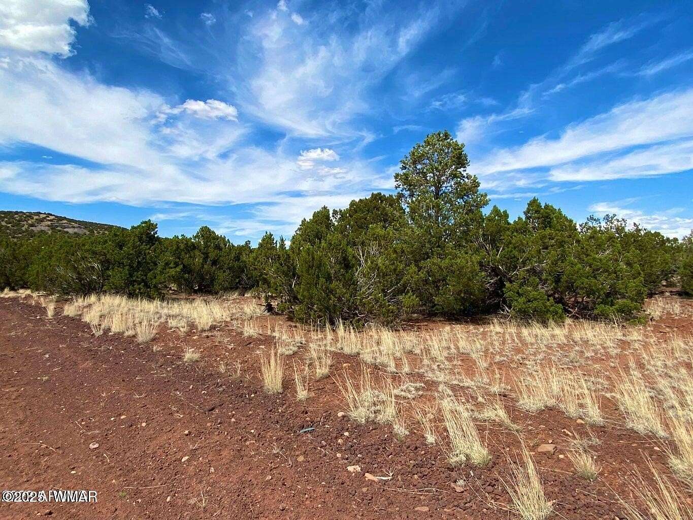 1.21 Acres of Residential Land for Sale in Concho, Arizona