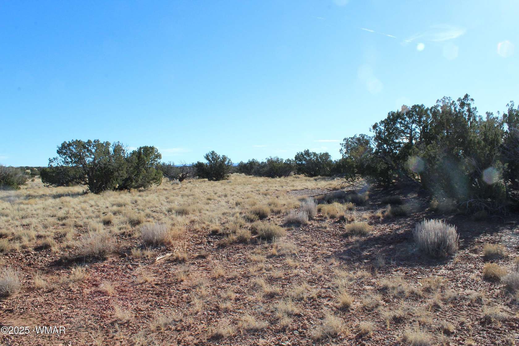 36.2 Acres of Recreational Land for Sale in Concho, Arizona